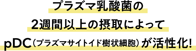 プラズマ乳酸菌の2週間以上の摂取によってpDC（プラズマサイトイド樹状細胞）が活性化！