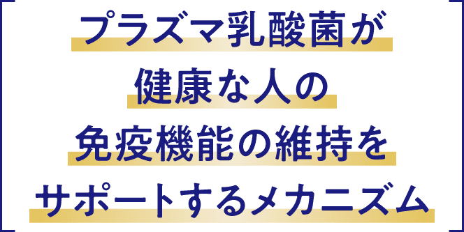 プラズマ乳酸菌が健康な人の免疫機能の維持をサポートするメカニズム