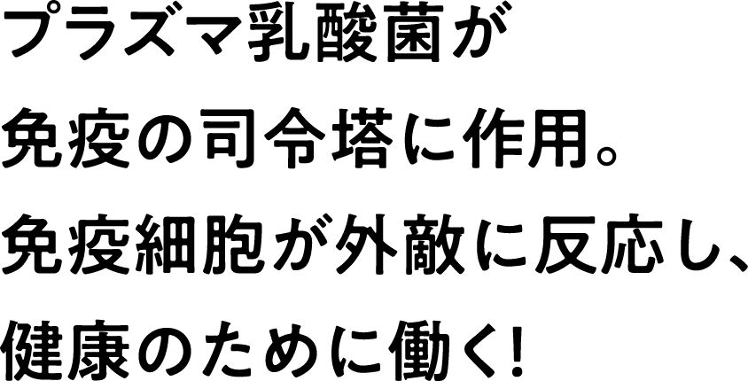 プラズマ乳酸菌が免疫の司令塔に作用。免疫細胞が外敵に反応し、健康のために働く！